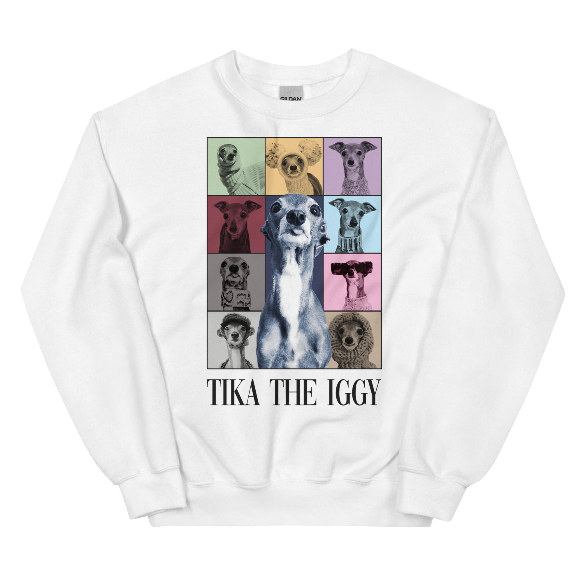 Sweatshirt - Tika Through the Years