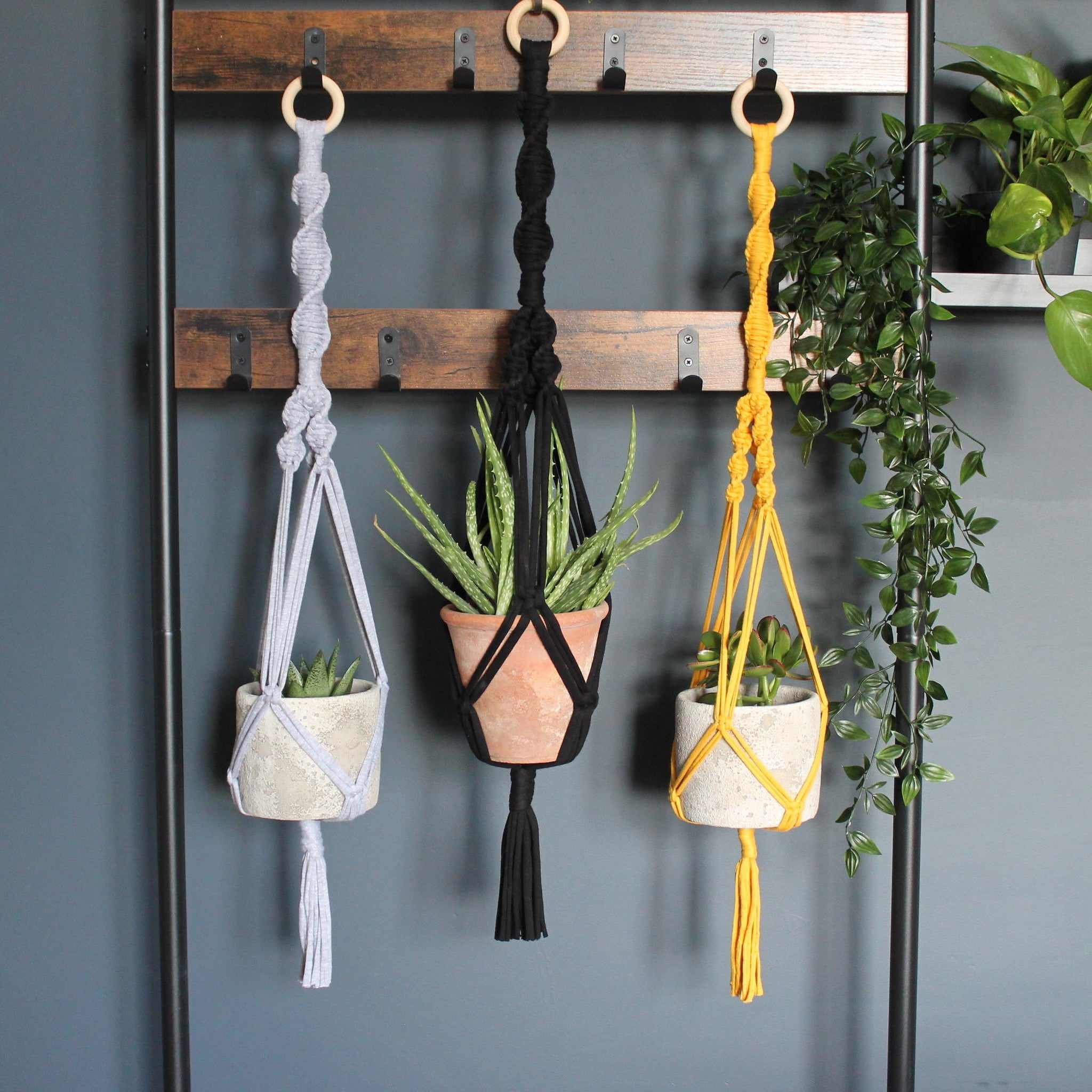 Macrame plant hanger