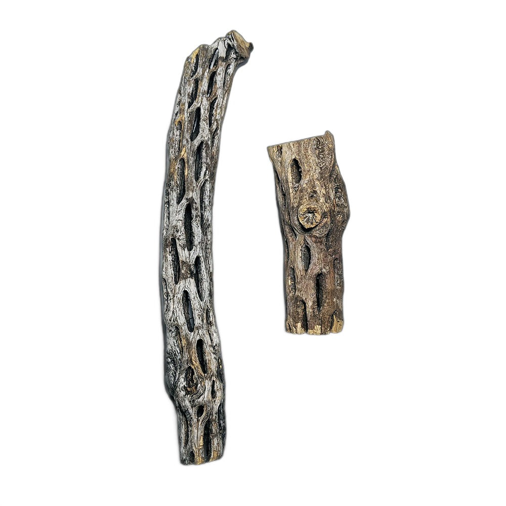 Cholla Wood