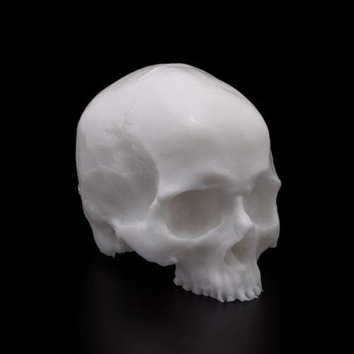 A Pound Of Flesh - "Yorick" Tattooable Skull
