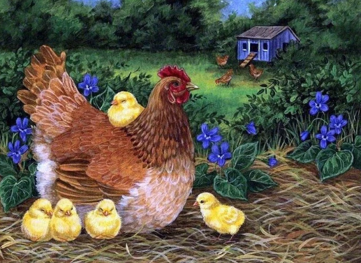 5D Farm Chicken - Paint by Diamonds