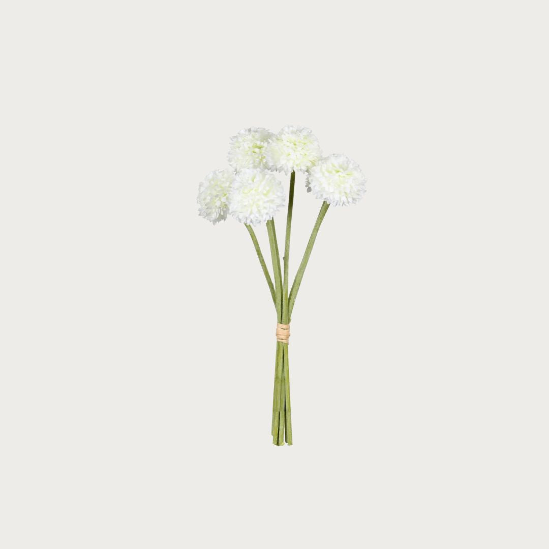 12" Small White 6 Stem Allium Bundle