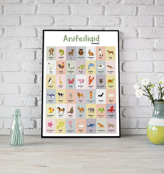 A2 Anifeiliaid Welsh Animals Poster Print