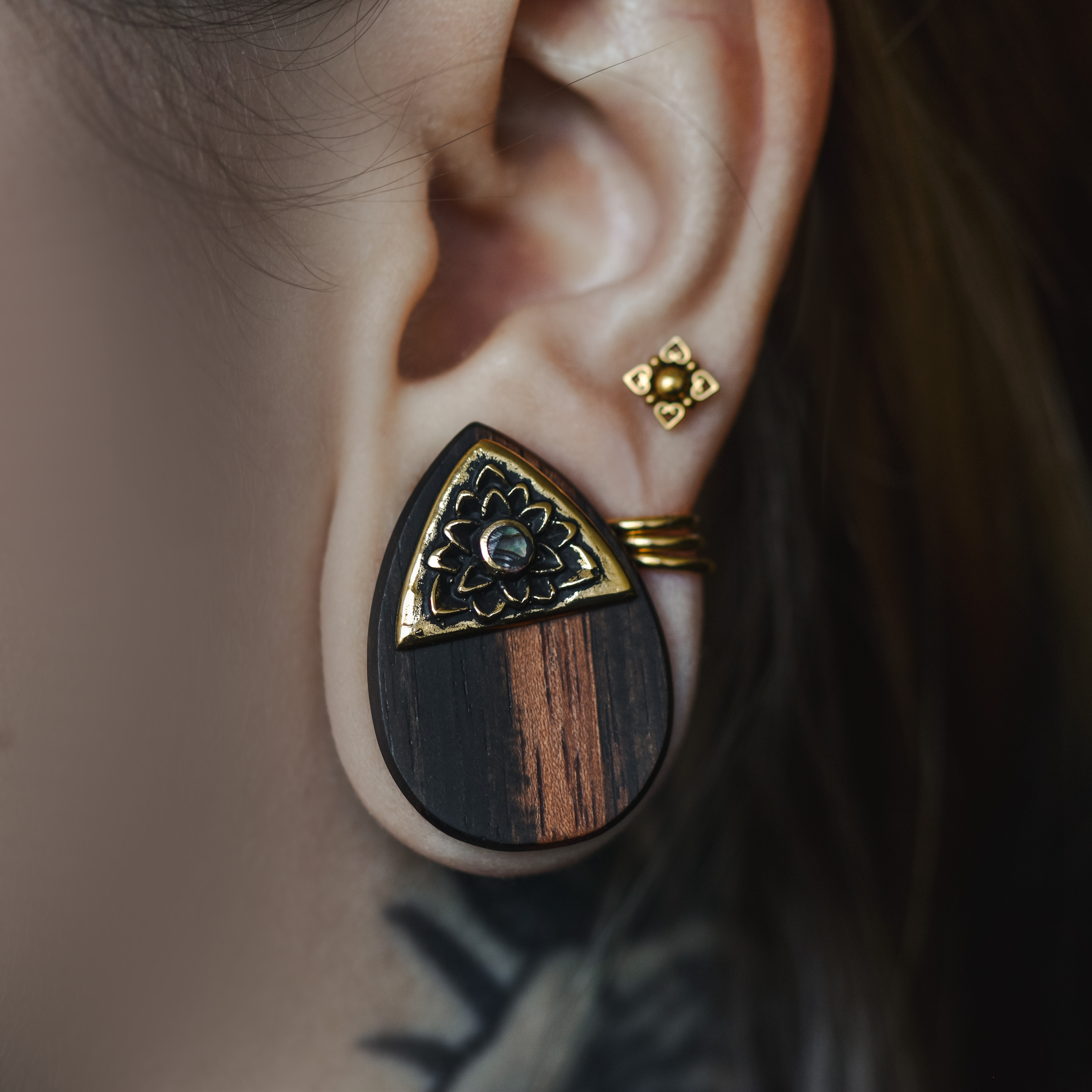 Abalone Brass Wood Teardrop Plugs