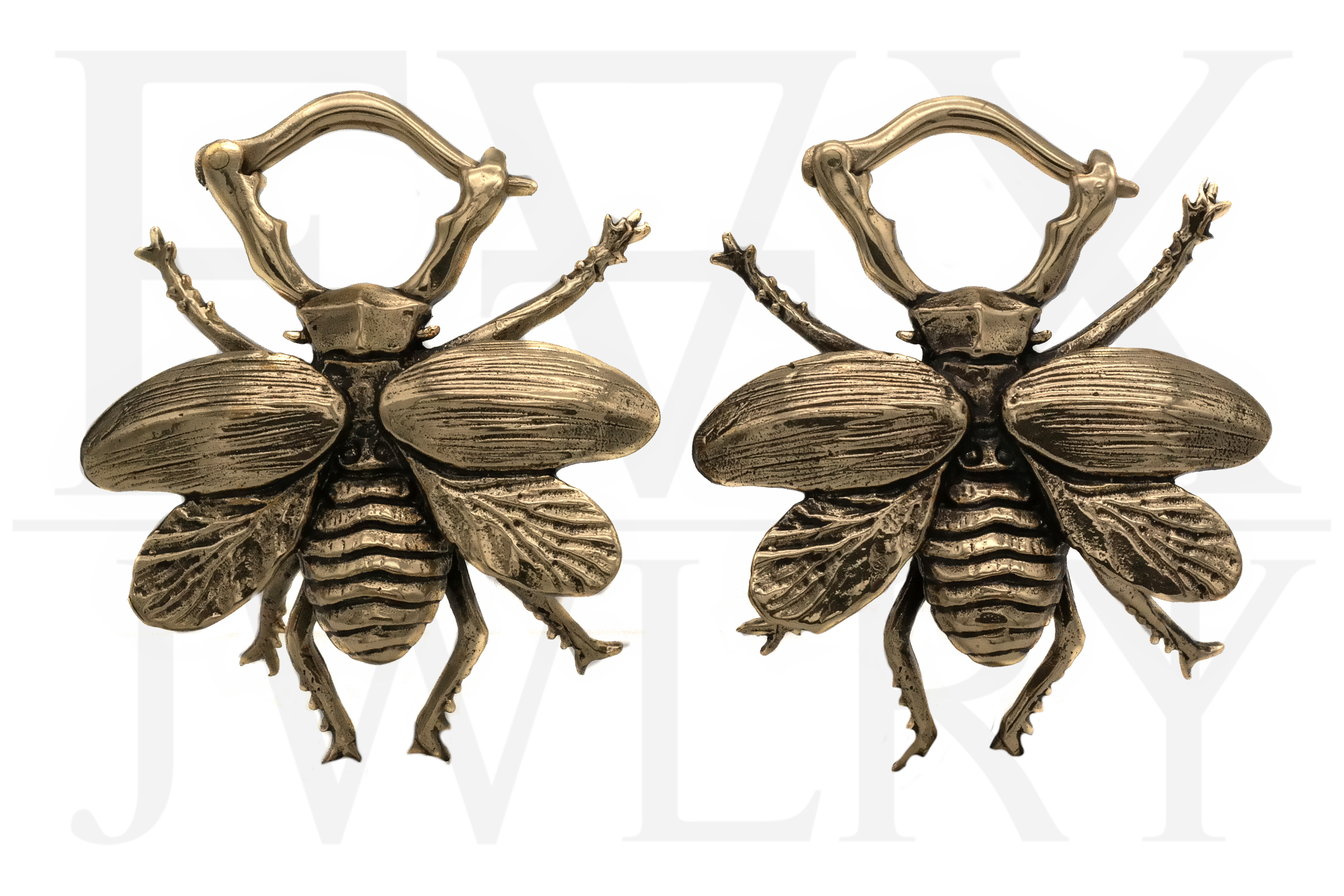 Brass Beetle Ear Hangers