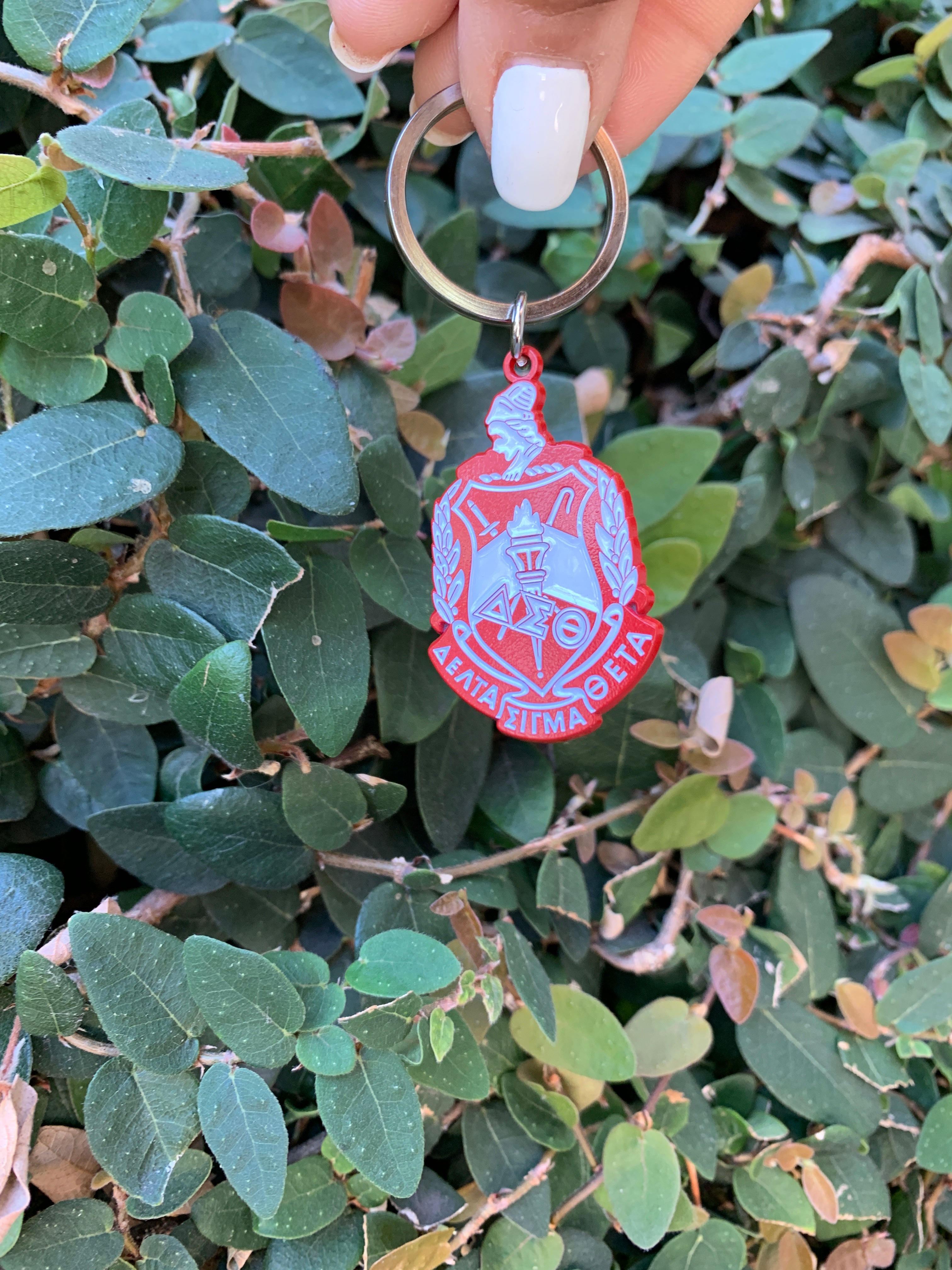 Delta Sigma Theta shield keychain