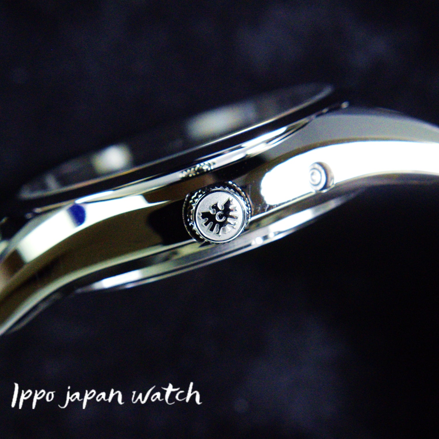 "Citizen Men's The CITIZEN High Precision Eco-Drive Watch AQ4080-52L - Annual Difference ±5 Seconds"