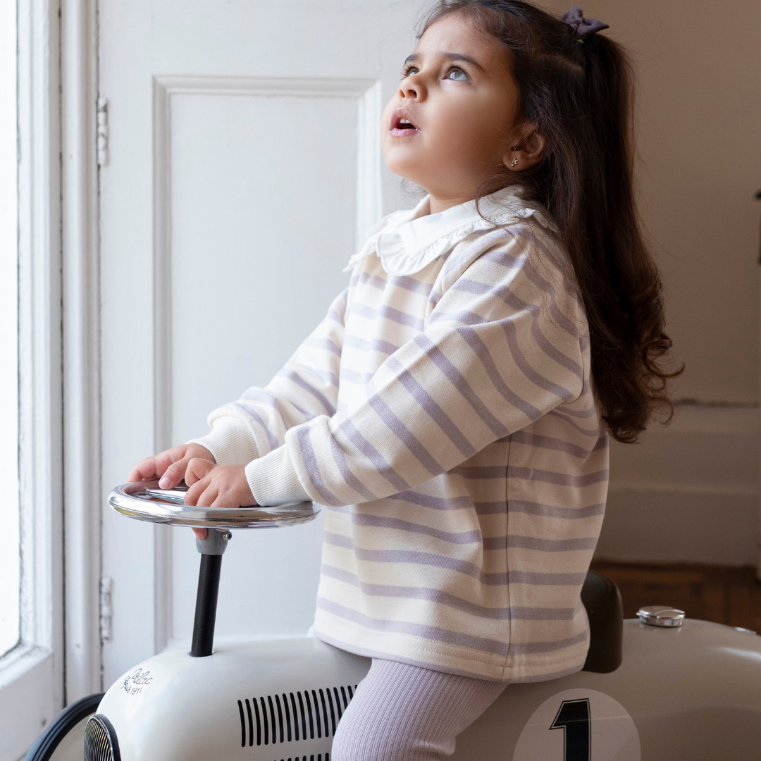 Cotton Sweatshirt - Lilac Stripe