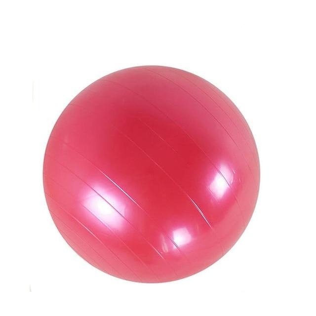 65cm Yoga Exercise Ball