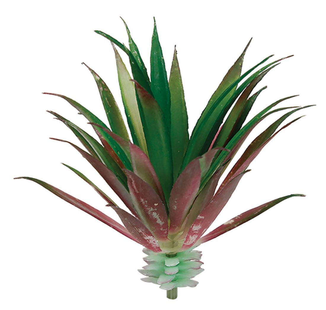 Botanicals - Succulent