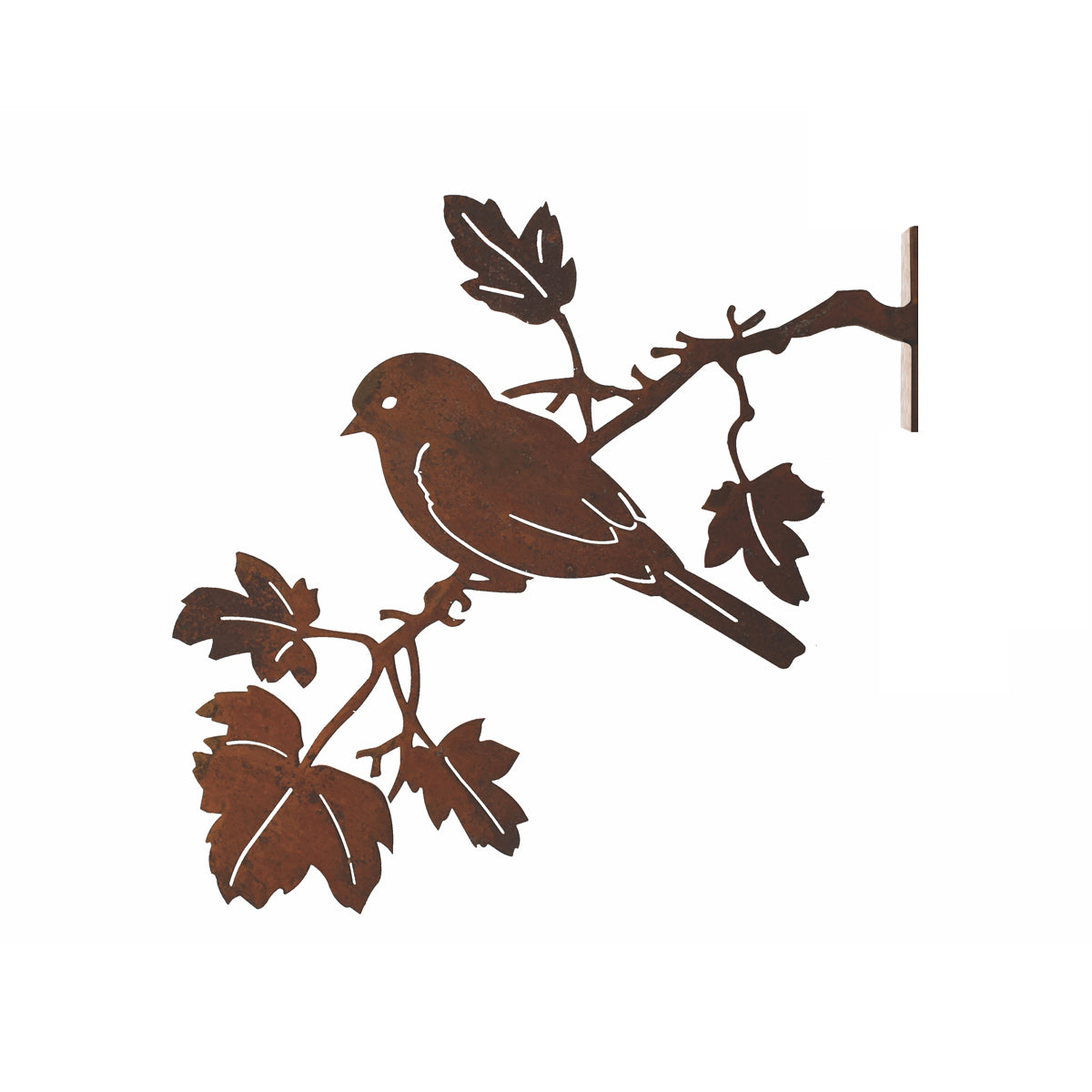 Bluebird on Maple Branch