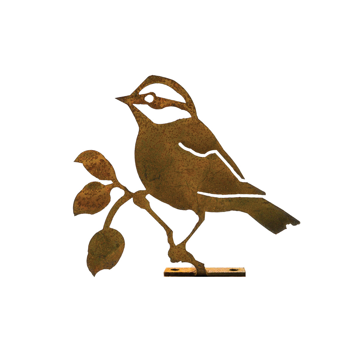 Black-Capped Chickadee