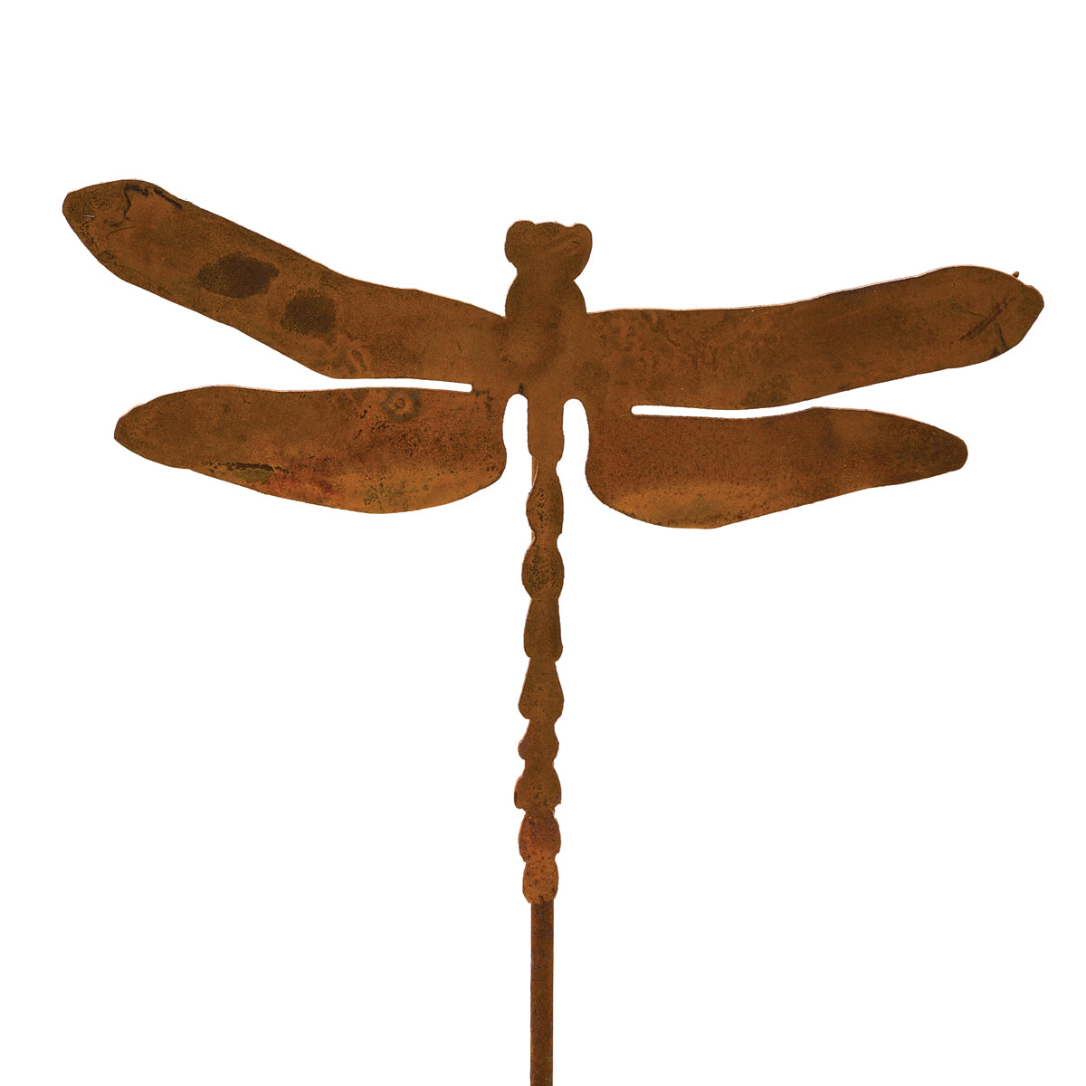 Dragonfly Pick