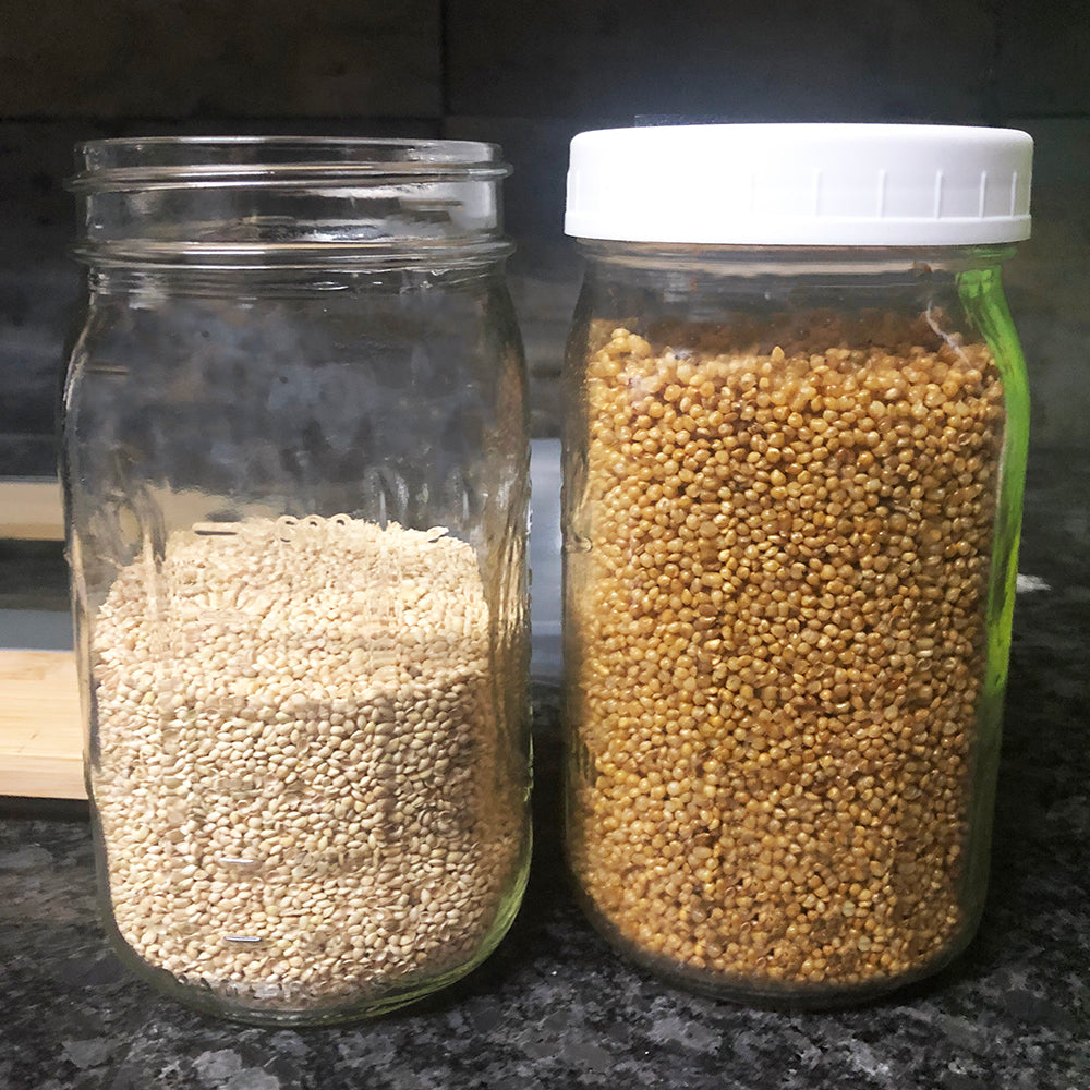 1qt Millet Jar