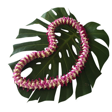 Waikiki Lei ET1