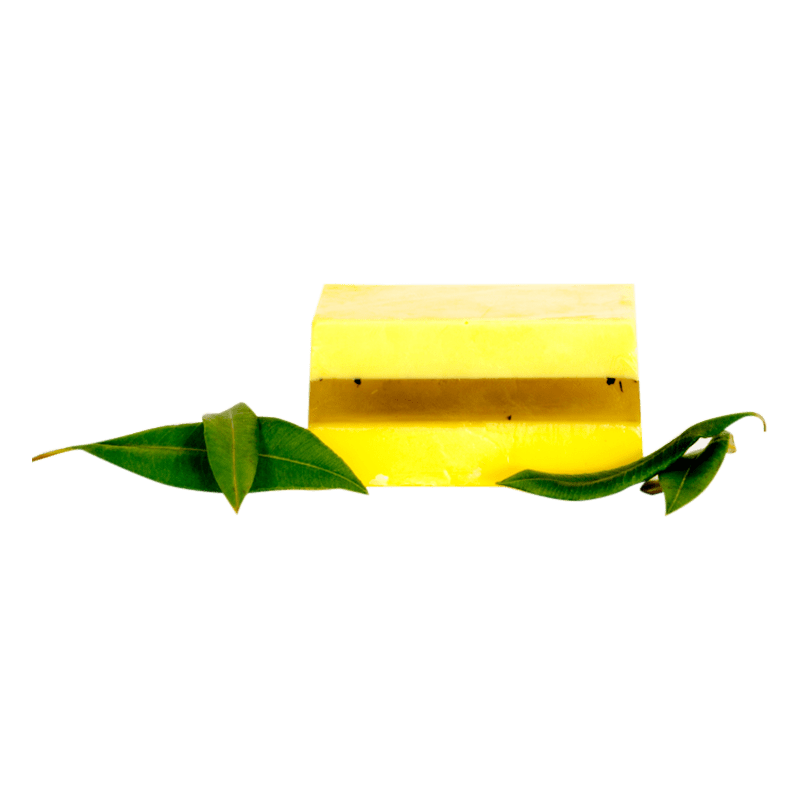 Citronella Myrtle Body Bar