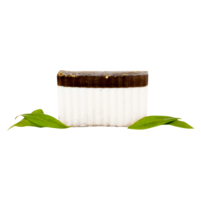 Fennel Myrtle Body Bar