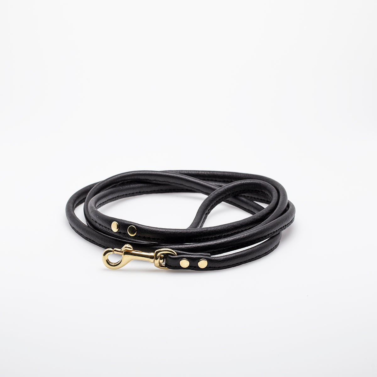 Black Dog Lead