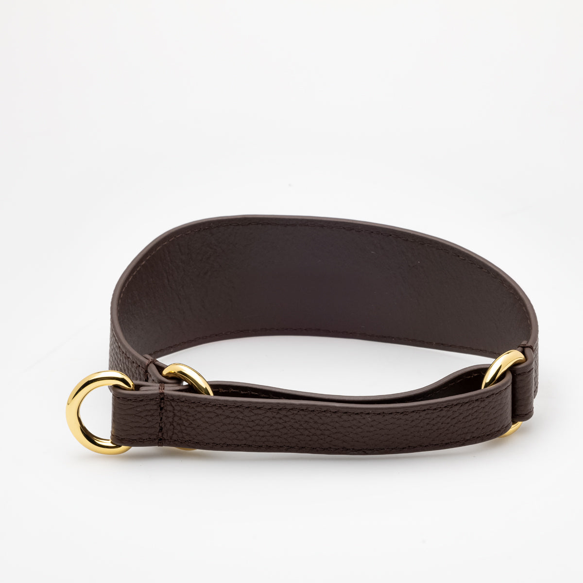Coffee Brown Dog Martingale Wide