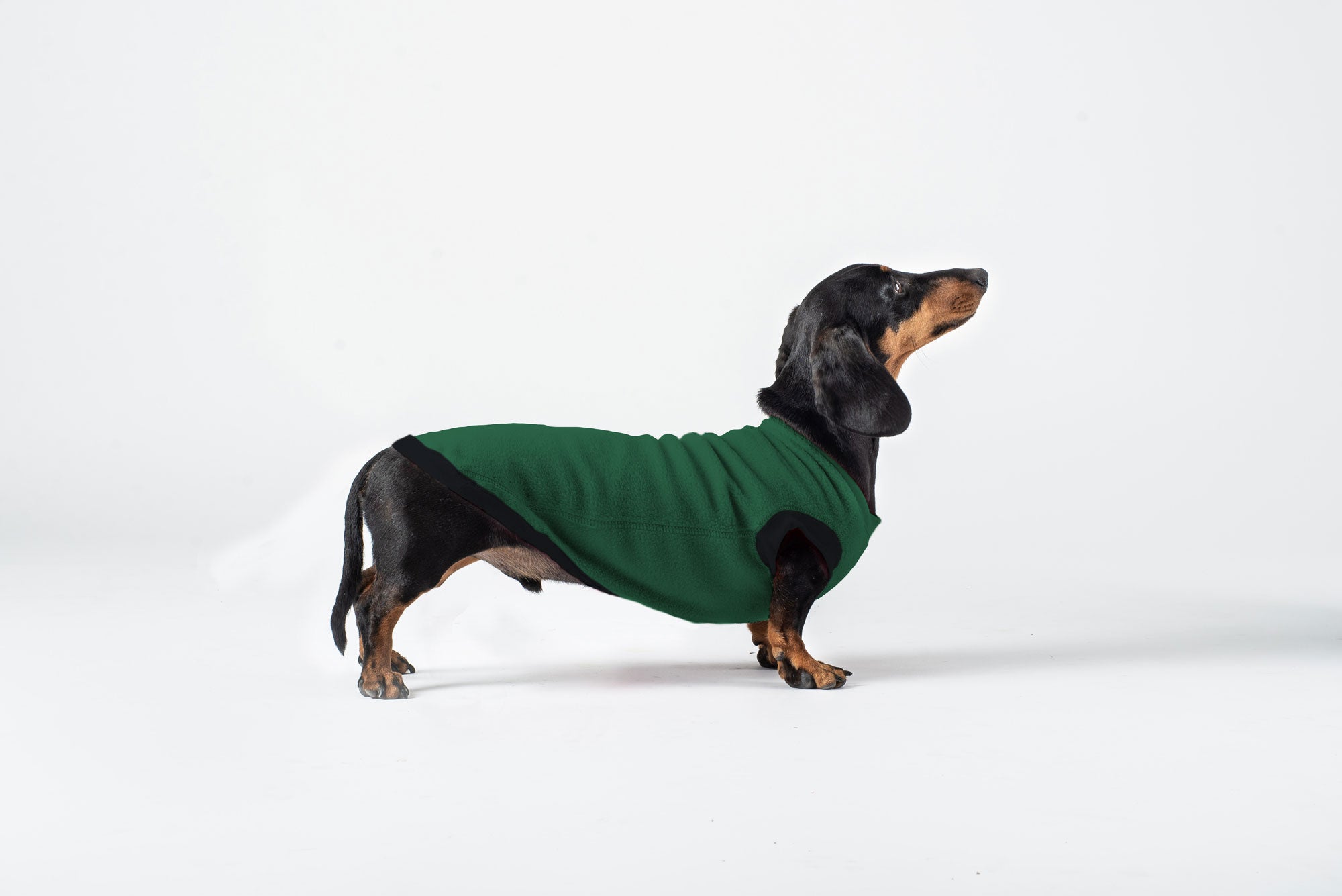 Fleece Dog Jumper Earthy Colours