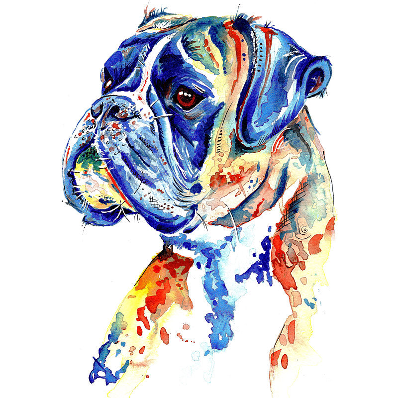Boxer Dog Art Prints - 'Handsome Boy!' - Size & Mounting Options