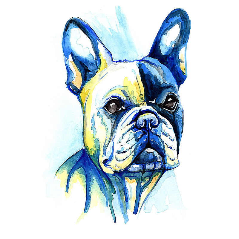 French Bulldog Art Prints - 'Handsome Chap!' - Size & Mounting Options
