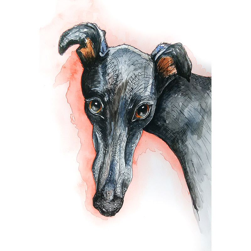 Greyhound Art Prints - 'Shy Boy' - Size & Mounting Options