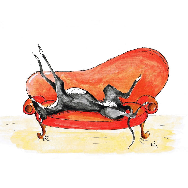 Greyhound Art Prints - 'Retired to the Sofa'