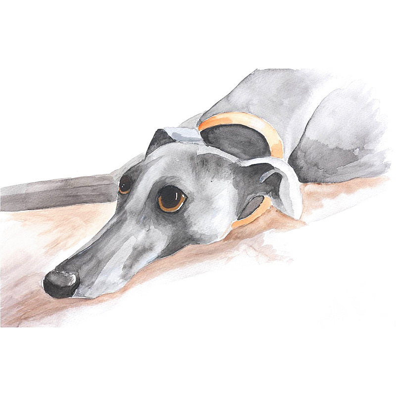 Greyhound Art Prints - 'Who Me'