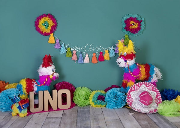 Kate 1st Birthday Party with Colorful Decoration Backdrop for Photography Designed by Cassie Christiansen